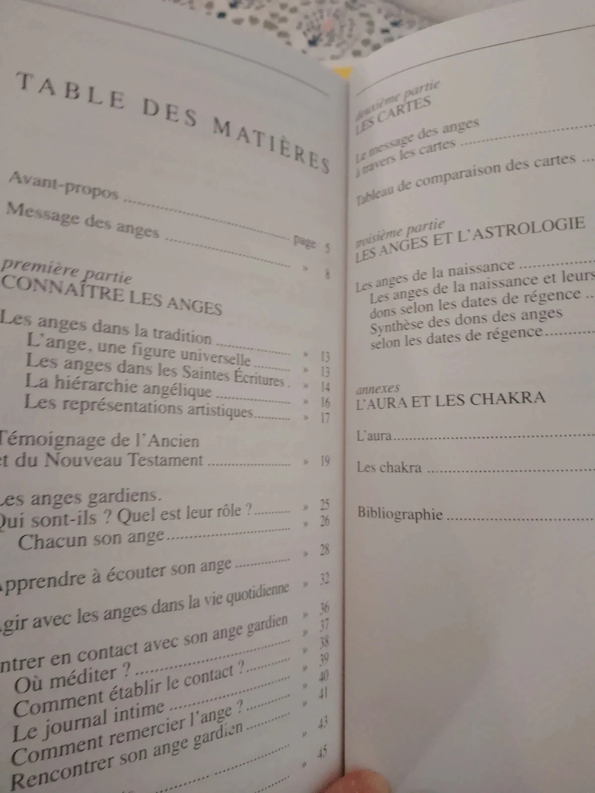 Les cartes divinatoires de l'âge gardien – photo 4